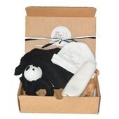 Baby Gift Under $50 - Little Panda