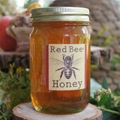 Honey with Honeycomb - Farm Fresh