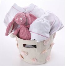 Baby Girl Gift Baskets for Girl - Organic Goodies