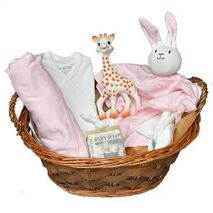Organic Baby Gift Basket - Little Boy
