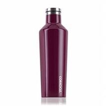 Hot Or Cold Bottle Triple Insulated - 16 ounce - Merlot