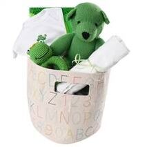 Green Baby Gift Basket - In the Grass