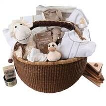 Luxury Baby Gift Basket for Group Gifts - Wonder Full
