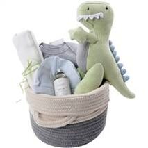 Organic Baby Gift Basket - T-Rex