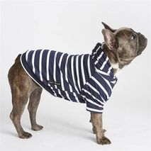 Dog Hoodie for Small Dogs (6lb - 10lb - 8" Long)