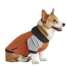 Dog Hoodie - Orange and Grey - XS (3 - 6lb - 6" Long)