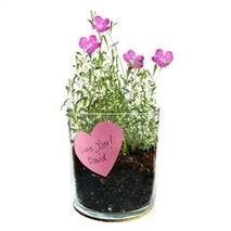 Grow Your Own Flower Garden - Love Essentials