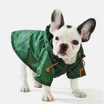 Dog Raincoat - Green - Size 10