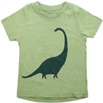 Organic Toddler Dinosaur T-Shirt -  4T
