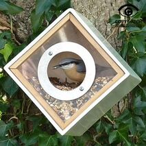Eco-Friendly Urban Bird Feeder