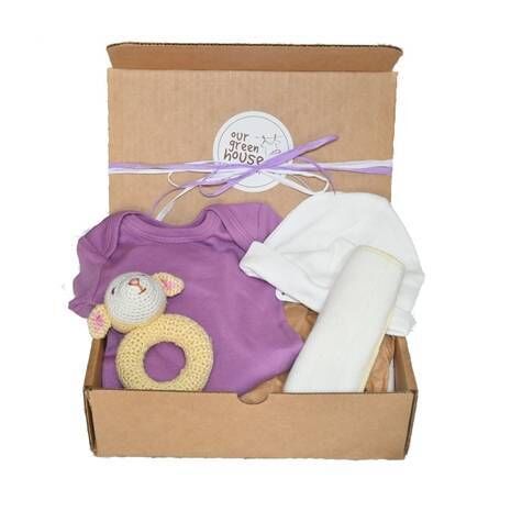 Baby Gift Under $50 - Organic Essentials in Purple