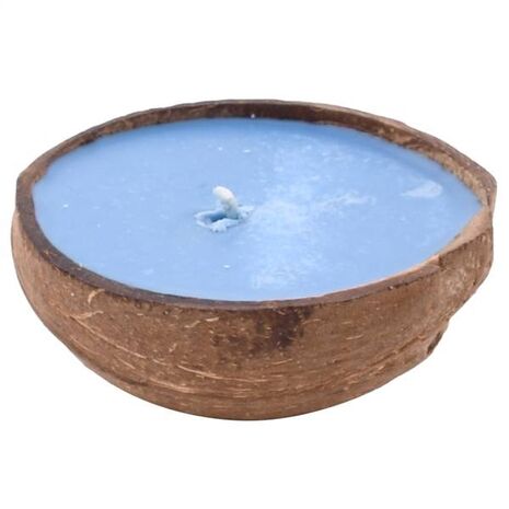 Coconut Shell Candle - Hydrangea