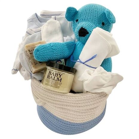 Baby Gift Baskets - Take Me Home - Blue
