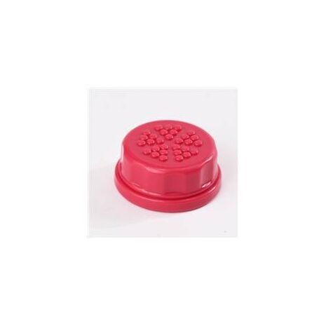 Lifefactory Accessories - Flat Cap - Assorted Colors - Raspberry
