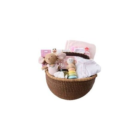 Luxury Baby Gift Basket for Group Gifts - Welcome to the World