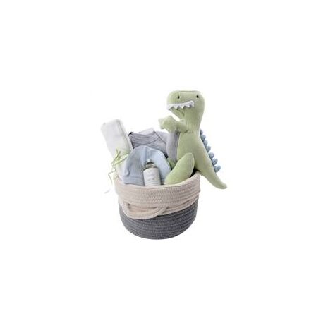 Organic Baby Gift Basket - T-Rex
