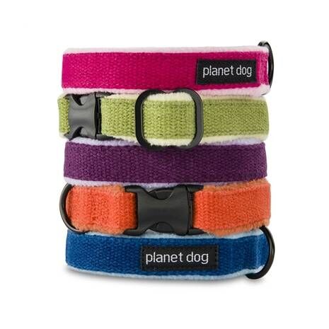 Eco-Friendly Hemp Dog Collar - Assorted Colors