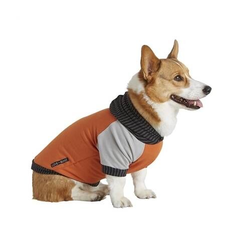 Dog Hoodie - Orange and Grey - XS (3 - 6lb - 6" Long)