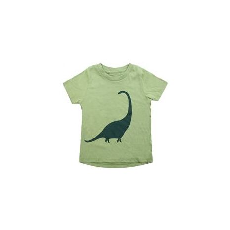 Organic Toddler Dinosaur T-Shirt -  4T