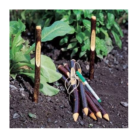 Garden Markers - Plant Markers Twigs
