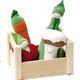 Organic Cotton Veggie Set - Vegetables and Crate